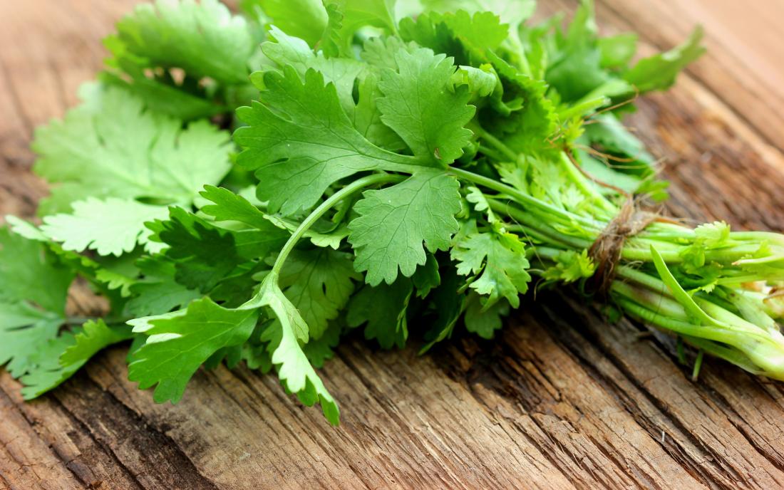 5 Ways to Add Coriander in Your Diet