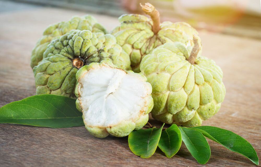 Benefits of Custard Apple: Eating Custard Apple Makes Immunity strong