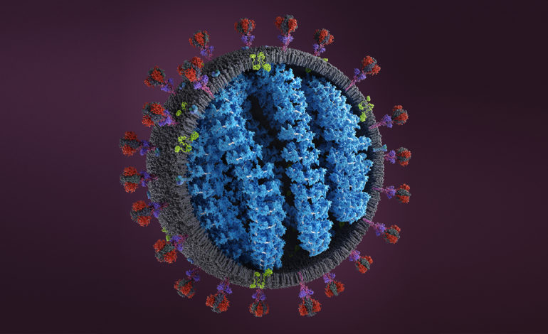 US claims, Human Trial of Coronavirus Vaccine succeeds will be Available Soon