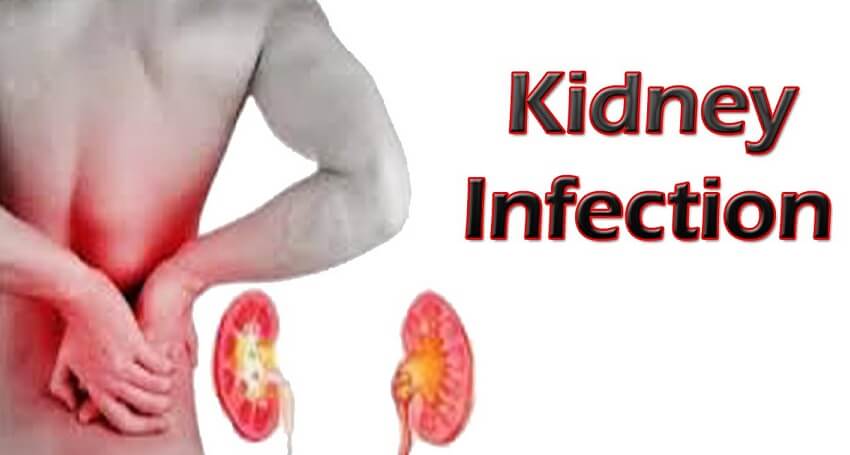 Video : What is Kidney Infection? It's Symptoms and Causes